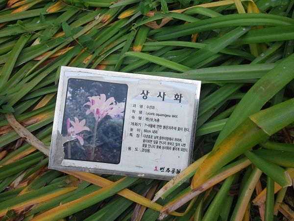 상세보기