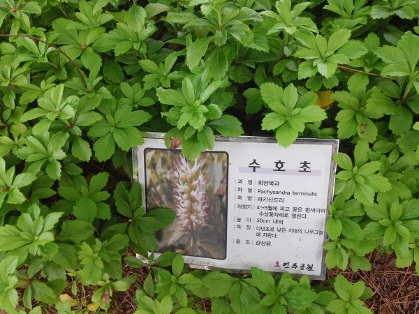 상세보기