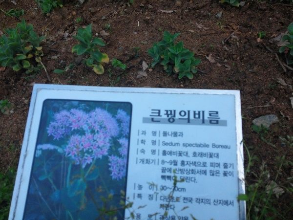 상세보기