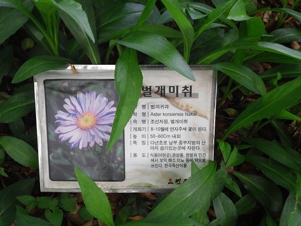 상세보기