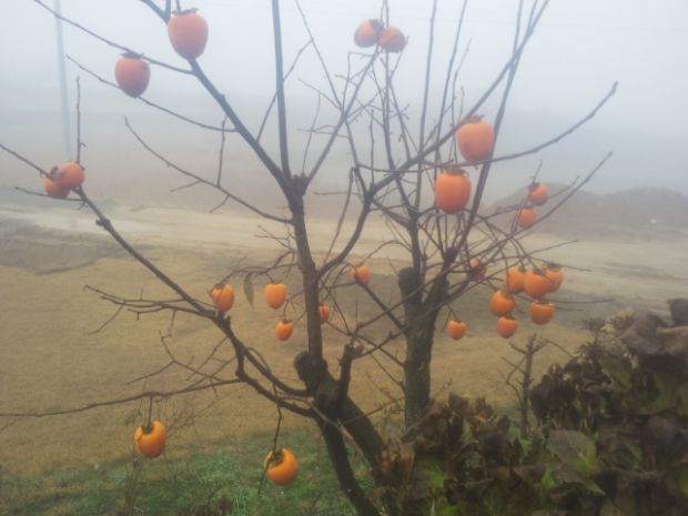 상세보기